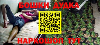 ПСИЛОЦИБИНОВЫЕ ГРИБЫ Аргун