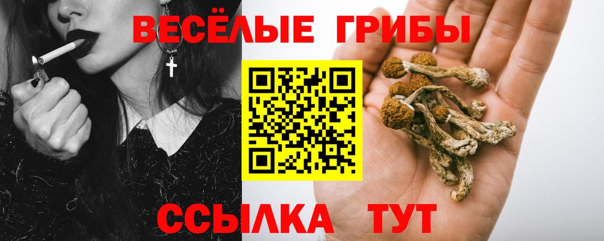 Галлюциногенные грибы прущие грибы  Кизляр 