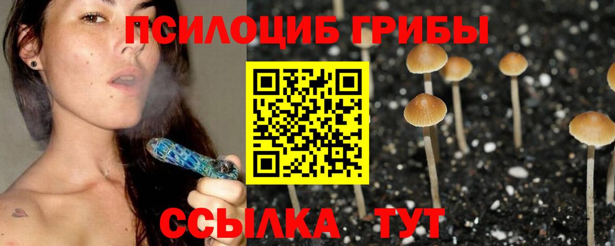 Галлюциногенные грибы Psilocybine cubensis Кизляр
