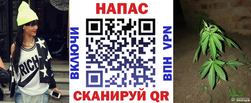 OMG как войти  Кизляр  Бошки Шишки Bruce Banner 
